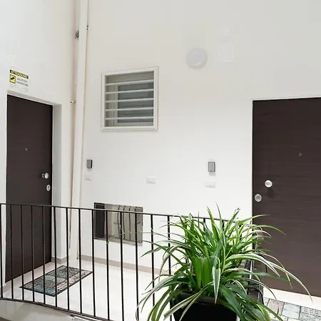 Nicolaus 204 - Brown & Grey By Wonderful Italy *