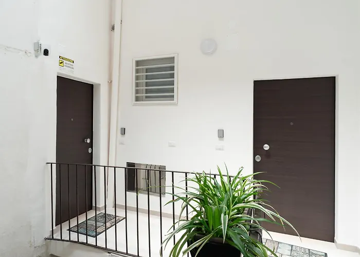 Nicolaus 204 - Brown & Grey By Wonderful Italy *